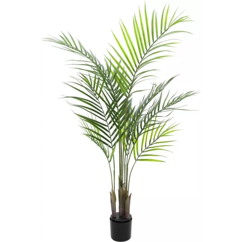 EUROPALMS Areca-palmu tekokasvi, 125 cm 82509440