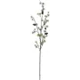 EUROPALMS tekolehtikuusenoksa, PE, 100 cm 83500418