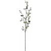 EUROPALMS tekolehtikuusenoksa, PE, 100 cm 83500418