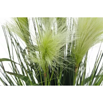 EUROPALMS sulkaheinä tekokasvi, valkoinen, 60 cm 82505864