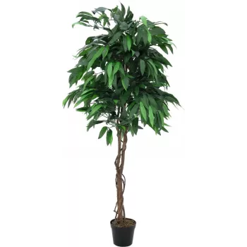 EUROPALMS tekomainen mango-viidakkopuu, 180 cm 82506726