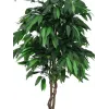EUROPALMS keinotekoinen mangoviidakkopuu, 180 cm 82506726