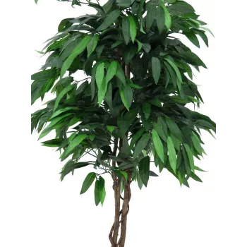 EUROPALMS tekomainen mango-viidakkopuu, 180 cm 82506726