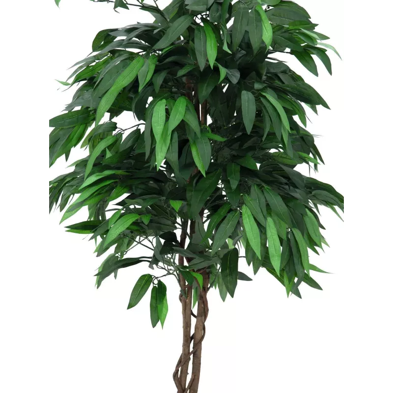 EUROPALMS keinotekoinen mangoviidakkopuu, 180 cm 82506726