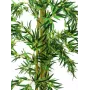 EUROPALMS tekobambu monivartinen kasvi, 150 cm 82509235