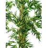 EUROPALMS tekobambu monivartinen kasvi, 150 cm 82509235