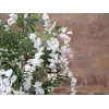 EUROPALMS tekokultasade puu, valkoiset kukat, 180 cm 82507106