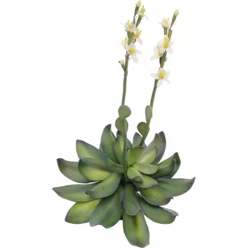 EUROPALMS Stone Rose (EVA) tekokasvi, keltainen, 32 cm 82530573