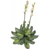 EUROPALMS Stone Rose (EVA) tekokasvi, keltainen, 32 cm 82530573