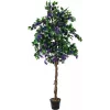 EUROPALMS Bougainvillea tekokasvi, laventeli, 150 cm 82507035