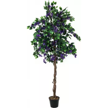 EUROPALMS Bougainvillea tekokasvi, laventeli, 150 cm 82507035