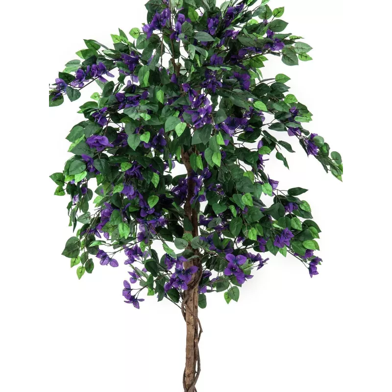 EUROPALMS Bougainvillea tekokasvi, laventeli, 150 cm 82507035