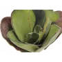 EUROPALMS tekolumme (EVA), suljettu, vihreä, 45 cm 82530575