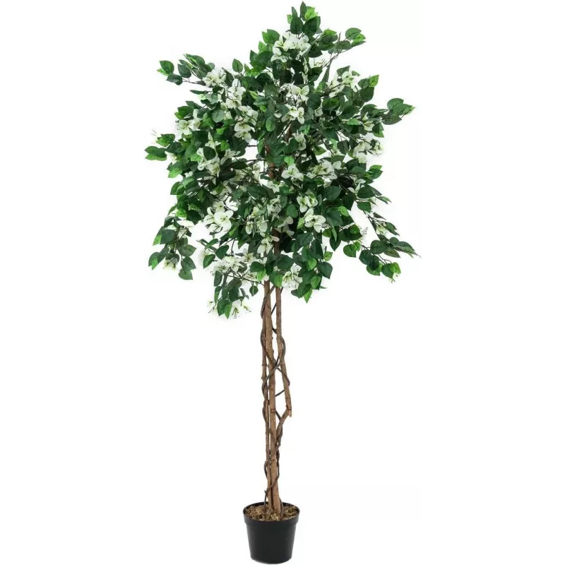 EUROPALMS Bougainvillea tekokasvi, valkoinen, 180 cm 82507086