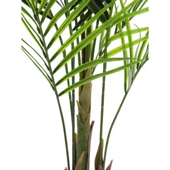 EUROPALMS isolehtinen Areca-tekokasvi, 165 cm 82509441