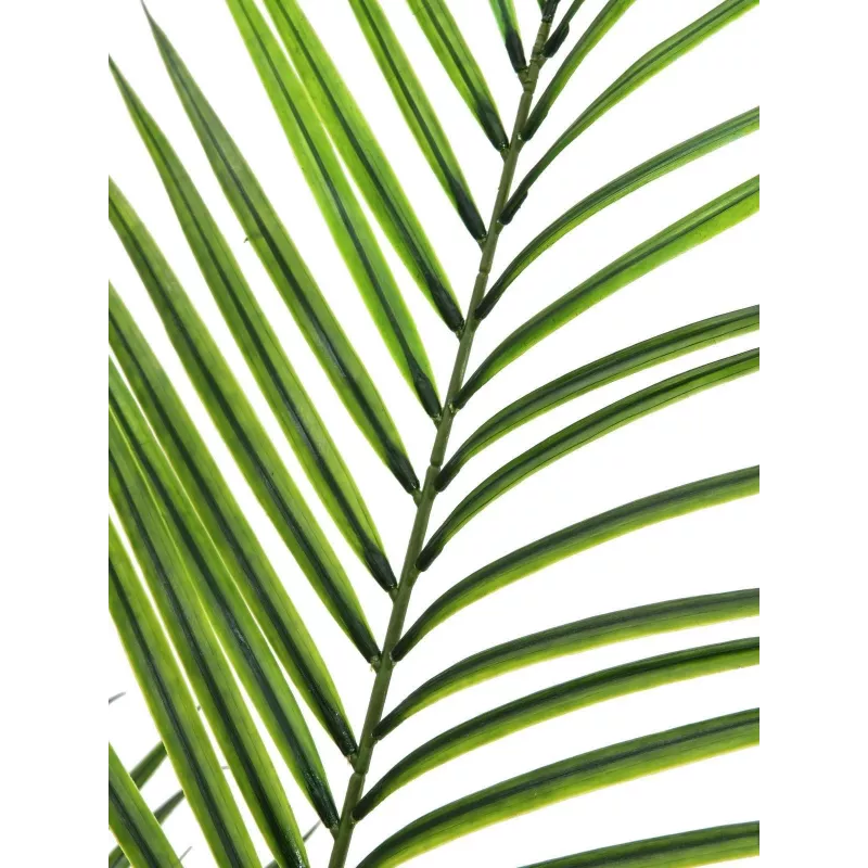 EUROPALMS isolehtinen Areca-tekokasvi, 165 cm 82509441