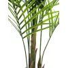 EUROPALMS isolehtinen Areca-tekokasvi, 165 cm 82509441