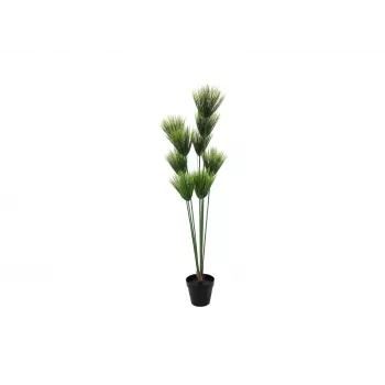 EUROPALMS tekopapyrus-kasvi, 150 cm, vihreä, mustassa ruukussa 82600223