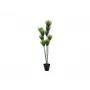 EUROPALMS tekopapyrus-kasvi, 150 cm, vihreä, mustassa ruukussa 82600223