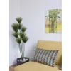 EUROPALMS tekopapyrus-kasvi, 150 cm, vihreä, mustassa ruukussa 82600223