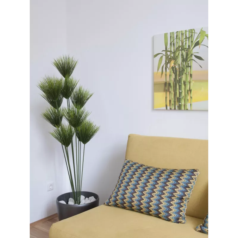 EUROPALMS tekopapyrus-kasvi, 150 cm, vihreä, mustassa ruukussa 82600223
