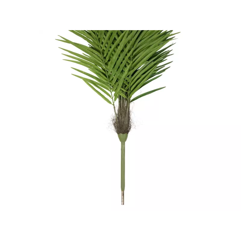EUROPALMS Phoenix Palm Luxor, tekokasvi, 240 cm 82510722