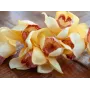 EUROPALMS tekokasvi Cymbidium-oksa, keltainen, 90 cm 82530314