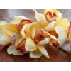 EUROPALMS tekokasvi Cymbidium-oksa, keltainen, 90 cm 82530314