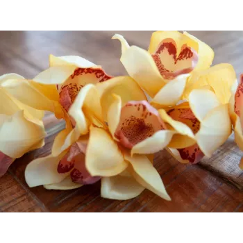 EUROPALMS tekokasvi Cymbidium-oksa, keltainen, 90 cm 82530314