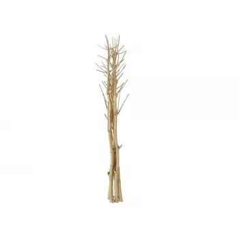 EUROPALMS kuivattu fenkolikimppu, kulta, 160 cm 83502363