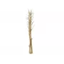 EUROPALMS kuivattu fenkolikimppu, kulta, 160 cm 83502363