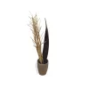 EUROPALMS kuivattu fenkolikimppu, kulta, 160 cm 83502363