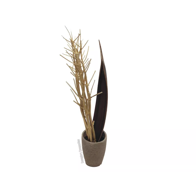 EUROPALMS kuivattu fenkolikimppu, kulta, 160 cm 83502363