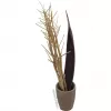 EUROPALMS kuivattu fenkolikimppu, kulta, 160 cm 83502363