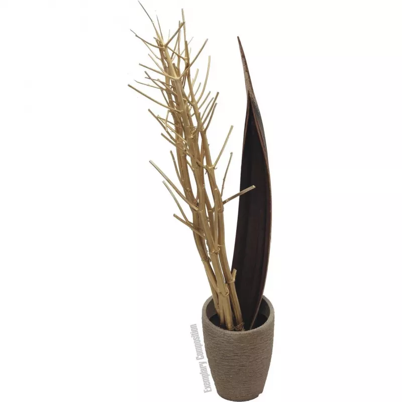 EUROPALMS kuivattu fenkolikimppu, kulta, 160 cm 83502363