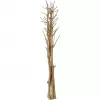 EUROPALMS kuivattu fenkolikimppu, kulta, 160 cm 83502363