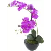 EUROPALMS tekokasvi orkidea-asetelma 4, valkoinen Phalaenopsis keraamisessa ruukussa, 60 cm 82530349