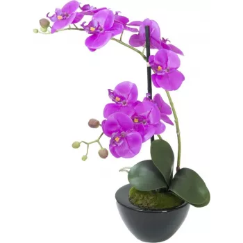 EUROPALMS tekokasvi orkidea-asetelma 4, valkoinen Phalaenopsis keraamisessa ruukussa, 60 cm 82530349
