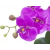 EUROPALMS tekokasvi orkidea-asetelma 4, valkoinen Phalaenopsis keraamisessa ruukussa, 60 cm 82530349