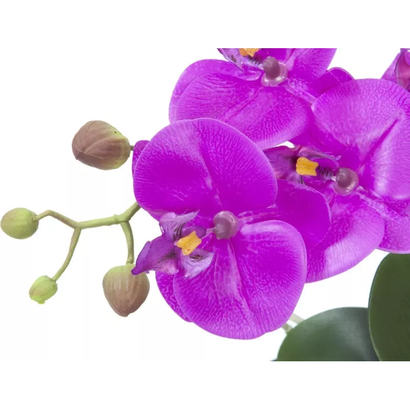 EUROPALMS tekokasvi orkidea-asetelma 4, valkoinen Phalaenopsis keraamisessa ruukussa, 60 cm 82530349