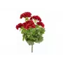 EUROPALMS tekokasvi pelargonia, tummanpunainen, 42 cm 82600112