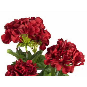 EUROPALMS tekokasvi pelargonia, tummanpunainen, 42 cm 82600112