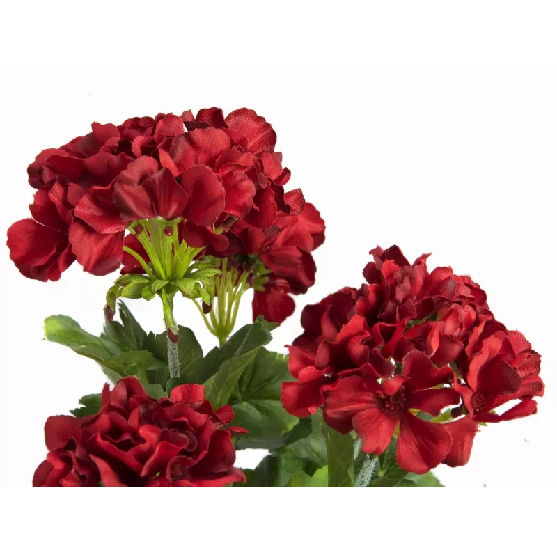 EUROPALMS tekokasvi pelargonia, tummanpunainen, 42 cm 82600112