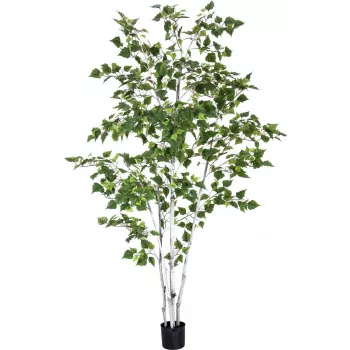 EUROPALMS tekokasvi koivu, 210 cm 82505232