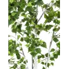 EUROPALMS tekokasvi koivu, 210 cm 82505232