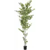 EUROPALMS tekokasvi koivu, 210 cm 82505232