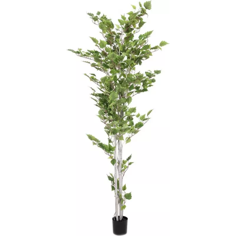 EUROPALMS tekokasvi koivu, 210 cm 82505232