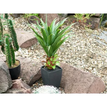 EUROPALMS agaave ruukussa, tekokasvi, 75 cm 82600160