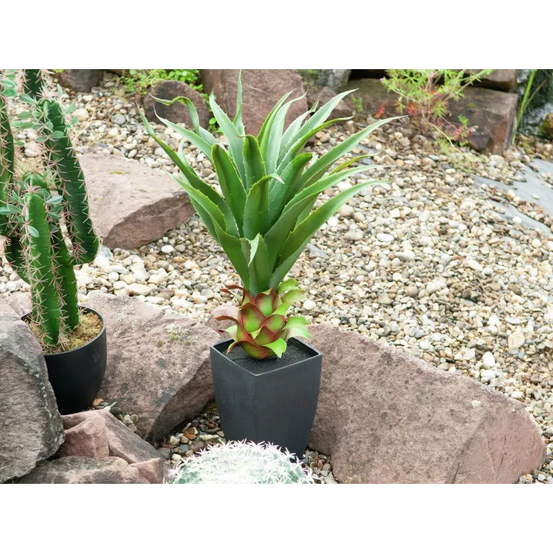 EUROPALMS agaave ruukussa, tekokasvi, 75 cm 82600160