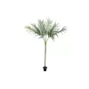 EUROPALMS Areca deluxe tekokasvi, 180 cm 82509443